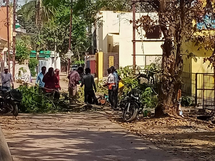 सिंधियानगर में बिना अनुमति पेड़ काटे जाने का मामला, प्रशासन से कार्रवाई की मांग