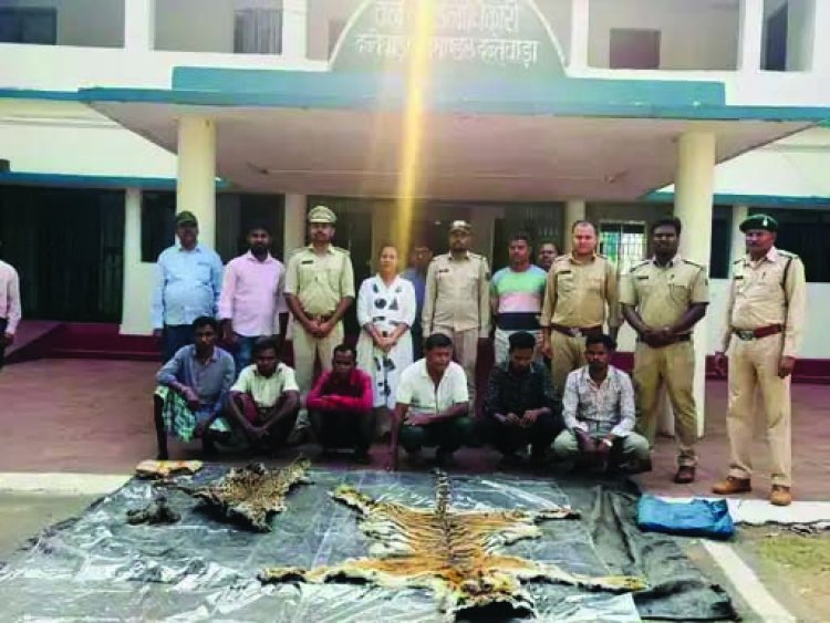शिकार गिरोह का भंडाफोड़, बाघ-तेंदुए की खाल के साथ 8 आरोपी गिरफ्तार