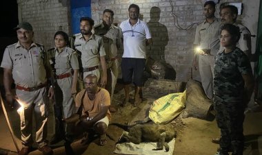 लंगूर का शिकार करने वाला आरोपी गिरफ्तार