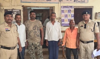 मवेशियों की अवैध परिवहन करते 4 आरोपी गिरफ्तार, पिकअप समेत 2.32 लाख की जब्ती