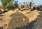 अवैध शराब पर बड़ा प्रहार, 180 से ज्यादा बोरी लाहान और भट्ठियां नष्ट