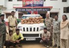 धमतरी पुलिस का बड़ा प्रहार: 24 घंटे में 92 किलो से ज्यादा गांजा जब्त, 3 अंतर्राज्यीय तस्कर गिरफ्तार