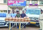एंबुलेंस में गांजा तस्करी का भंडाफोड़, 77 किलो गांजा के साथ महाराष्ट्र के 5 तस्कर गिरफ्तार