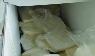 हॉस्टल में अवैध पनीर फैक्ट्री का भंडाफोड़, 140 किलो पनीर जब्त