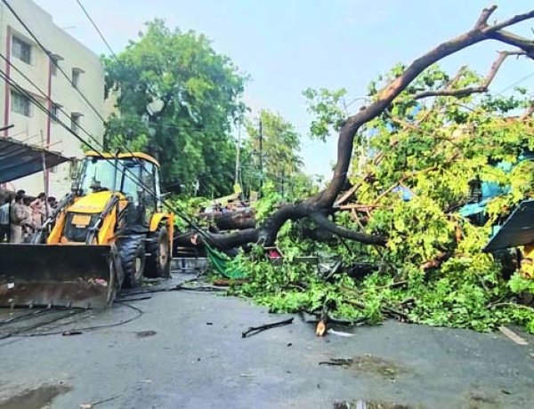 आंधी-तूफान का कहर, 96 लोगों की मौत, कई जिलों में तबाही