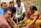 विश्व पर्यावरण दिवस पर कसौली कैंप में हुआ पौधारोपण, जनप्रतिनिधियों और ग्रामीणों ने बढ़-चढ़कर लिया हिस्सा