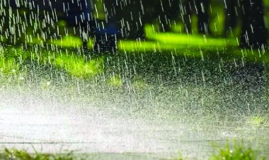 मानसून ने पकड़ी रफ्तार, कई राज्यों में भारी बारिश का अलर्ट; केरल में पेड़ गिरने से युवक की मौत