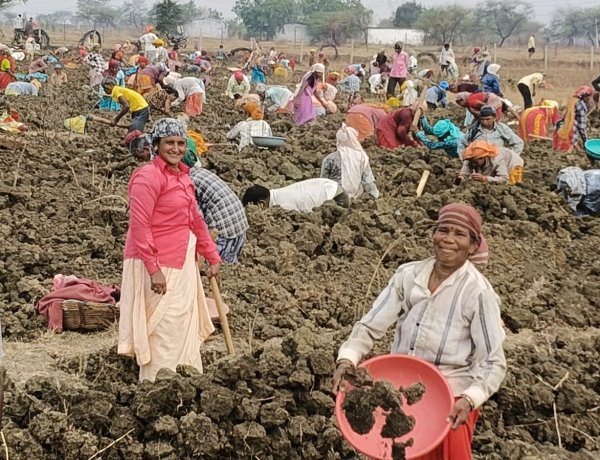 मनरेगा से दुर्ग जिले की 300 ग्राम पंचायतों में निर्माण कार्य शुरू, 62 हजार से अधिक श्रमिकों को मिला रोजगार