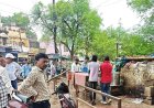 सीएम पोर्टल की शिकायत पर निगम की कार्रवाई, खुले में बिक रहे मांस-मटन पर चला डंडा
