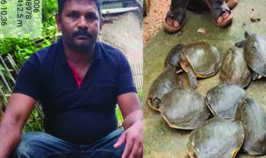 11 जीवित कछुओं के साथ तस्कर गिरफ्तार