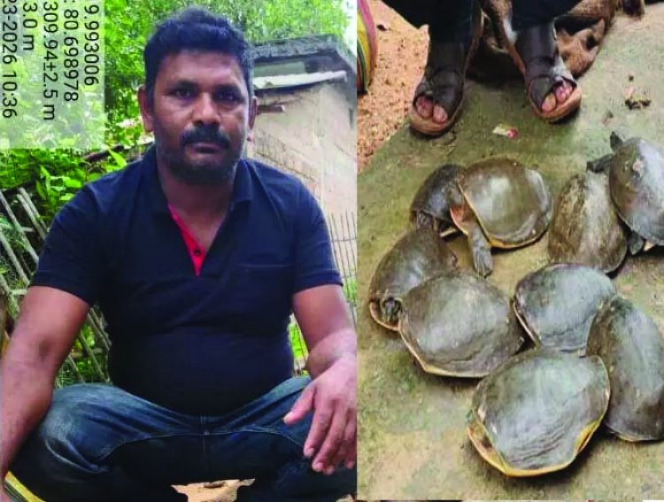 11 जीवित कछुओं के साथ तस्कर गिरफ्तार