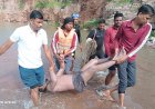 पत्थर खदान में डूबे 22 वर्षीय युवक का शव बरामद, SDRF की डीप डाइविंग टीम ने 30 फीट गहराई से निकाला
