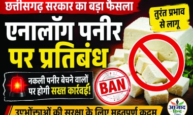 छत्तीसगढ़ में एनालॉग पनीर पर तत्काल प्रतिबंध, नकली डेयरी उत्पाद बेचने पर होगी कार्रवाई