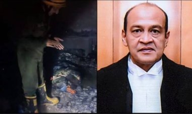 जस्टिस कैश कांड: तीनों आरोप सही, जांच समिति ने पूर्व जस्टिस यशवंत वर्मा को ठहराया दोषी