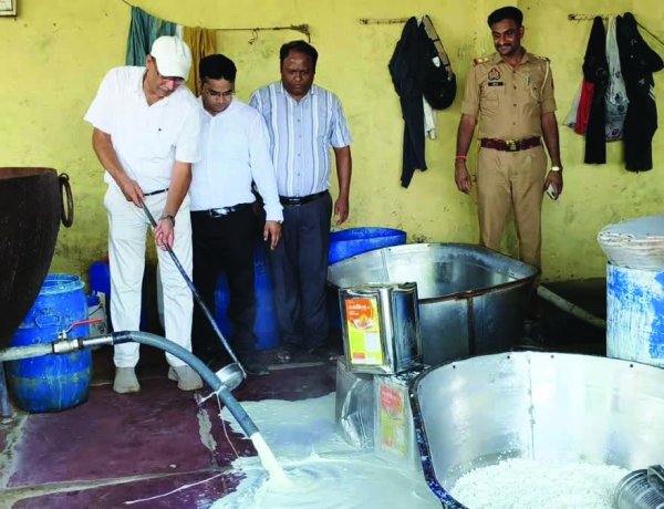 मिलावट का बड़ा खेल, 2 हजार लीटर नकली दूध और 500 किलो दूषित पनीर नष्ट