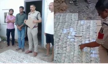 कत्था लकड़ी के अवैध कारोबार से जुड़े आरोपी के घर से 81 लाख कैश बरामद