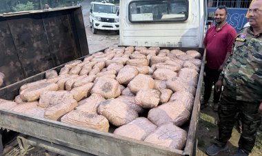 पिकअप के नीचे बनाए गए गुप्त बॉक्स में छिपाकर ले जाया जा रहा था 50 लाख का 109.235 किलो गांजा
