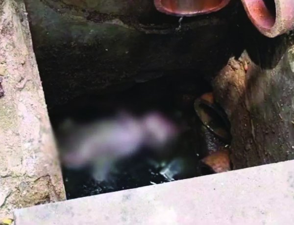 भिलाई  में गटर की सफाई के दौरान मिला नवजात, इलाके में मचा हड़कंप