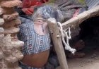 पोती को ले जाने का विरोध करने पर बुजुर्ग दादी की चाकू मारकर हत्या, आरोपी फरार