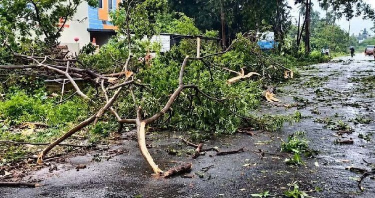 आंध्र प्रदेश में चक्रवात अर्नब का तांडव, तेज हवाओं और भारी बारिश से भारी नुकसान, 50 ट्रेनें और 21 उड़ानें रद्द